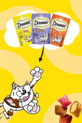 Dreamies Mix Somonlu ve Peynirli Kedi Ödül Bisküvisi 60 G