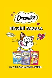 Dreamies Mix Somonlu ve Peynirli Kedi Ödül Bisküvisi 60 G - Thumbnail