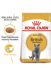 Royal Canin British Shorthair Adult Kedi Maması 2 kg - Thumbnail