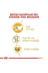 Royal Canin British Shorthair Adult Kedi Maması 2 kg - Thumbnail