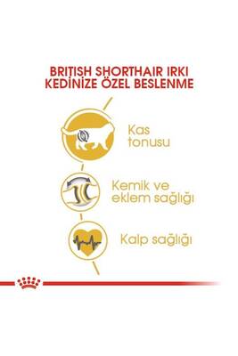 Royal Canin British Shorthair Adult Kedi Maması 2 kg