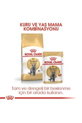 Royal Canin British Shorthair Adult Kedi Maması 2 kg - Thumbnail