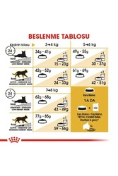 Royal Canin British Shorthair Adult Kedi Maması 2 kg - Thumbnail