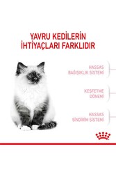 Royal Canin Kitten 36 Yavru Kedi Maması 2 KG - Thumbnail