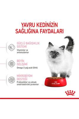 Royal Canin Kitten 36 Yavru Kedi Maması 2 KG