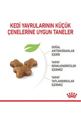 Royal Canin Kitten 36 Yavru Kedi Maması 2 KG - Thumbnail