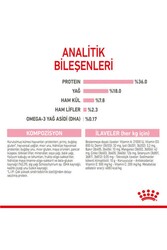 Royal Canin Kitten 36 Yavru Kedi Maması 2 KG - Thumbnail