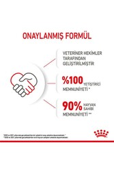 Royal Canin Kitten Kedi Maması 4 KG - Thumbnail