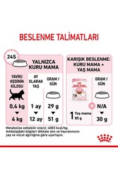 Royal Canin Kitten Kedi Maması 4 KG - Thumbnail