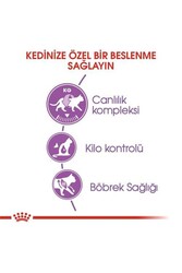 Royal Canin Sterilised 37 Kısırlaştırılmış Yetişkin Kedi Maması 10 KG - Thumbnail