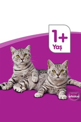 Whiskas Biftekli ve Havuçlu Yetişkin Kedi Maması 14 Kg - Thumbnail