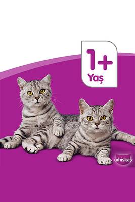 Whiskas Biftekli ve Havuçlu Yetişkin Kedi Maması 14 Kg